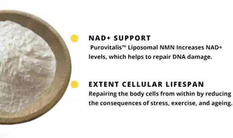 Liposomal NMN Boosts NAD+ Levels More Than Regular NMN